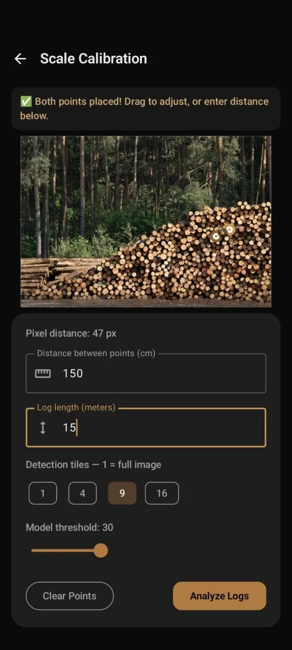 Scale calibration screen with two points on a log pile and detection settings