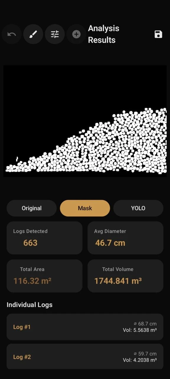Segmentation mask view of the detected log ends